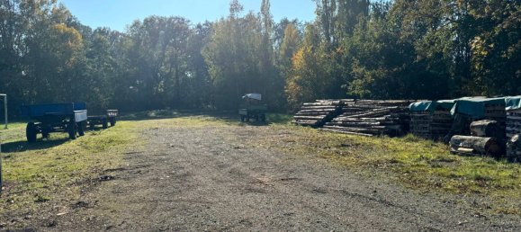 Ферма с 6 спальнями в Северная Саксония, Германия № 165716 8