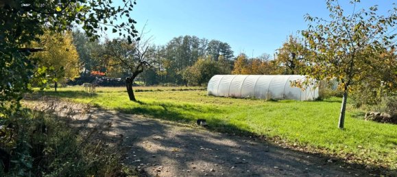 Ферма с 6 спальнями в Северная Саксония, Германия № 165716 11