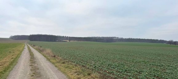 Ферма с 6 спальнями в Северная Саксония, Германия № 165716 14