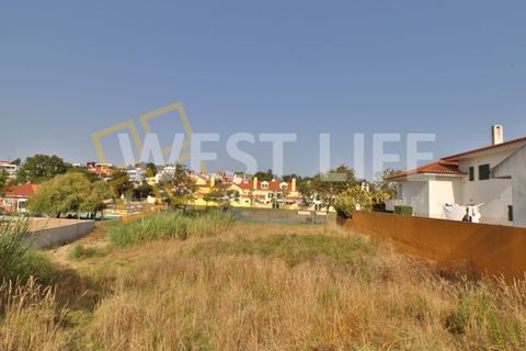 Terrain à Torres Vedras, Portugal No. 331651