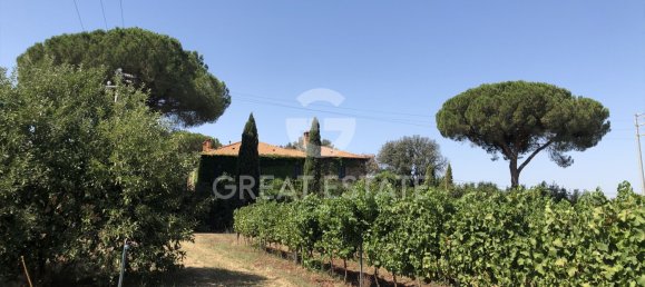 5 Schlafzimmer Villa in Rome, Italy, Nr. 314377 8
