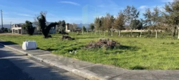 Land in Friestas, Portugal No. 49079 5