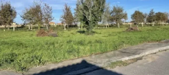 Land in Friestas, Portugal No. 49079 2