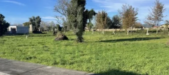 Land in Friestas, Portugal No. 49079 3