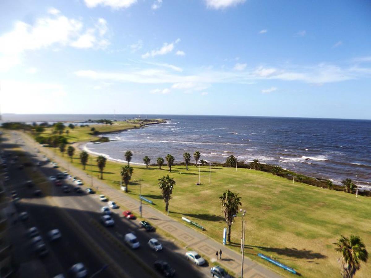 3 Schlafzimmer Wohnung in Montevideo, Uruguay, Nr. 10256