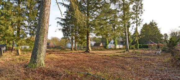 Terrain à Duchy of Lauenburg, Germany No. 60458 4