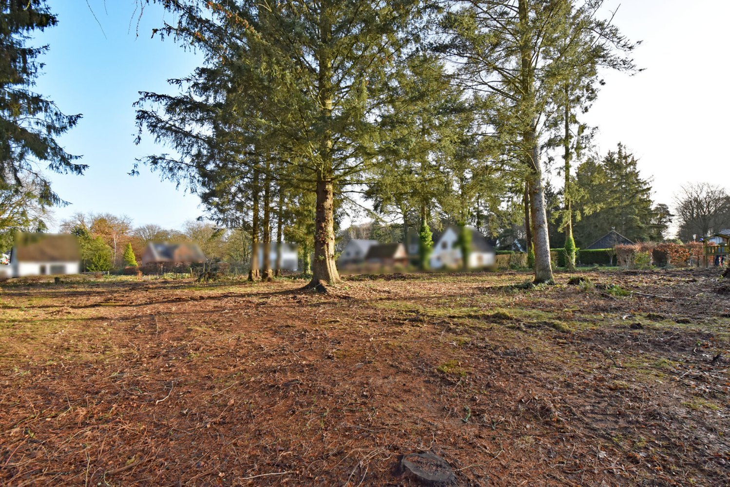 Terrain à Duchy of Lauenburg, Germany No. 60458