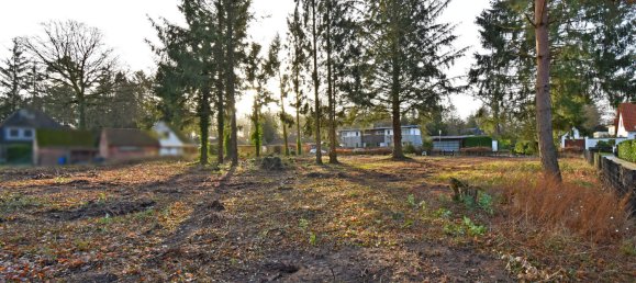 Terrain à Duchy of Lauenburg, Germany No. 60458 6