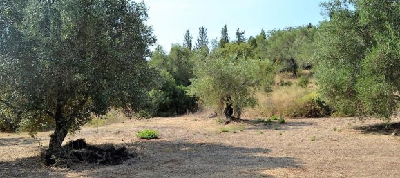 60000m² Hotel in Corfu, Greece No. 4594 10