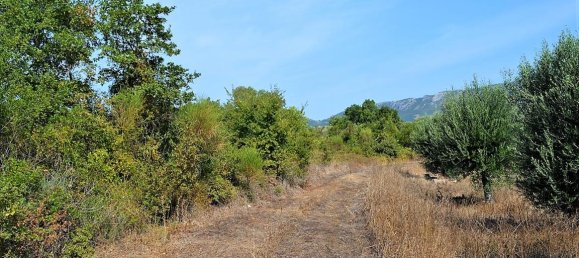 60000m² Hotel for sale in Corfu, Central Corfu and Diapontian Islands, Corfu, Ionian Islands, Peloponnese, Western Greece and the Ionian, Greece № 4594 5