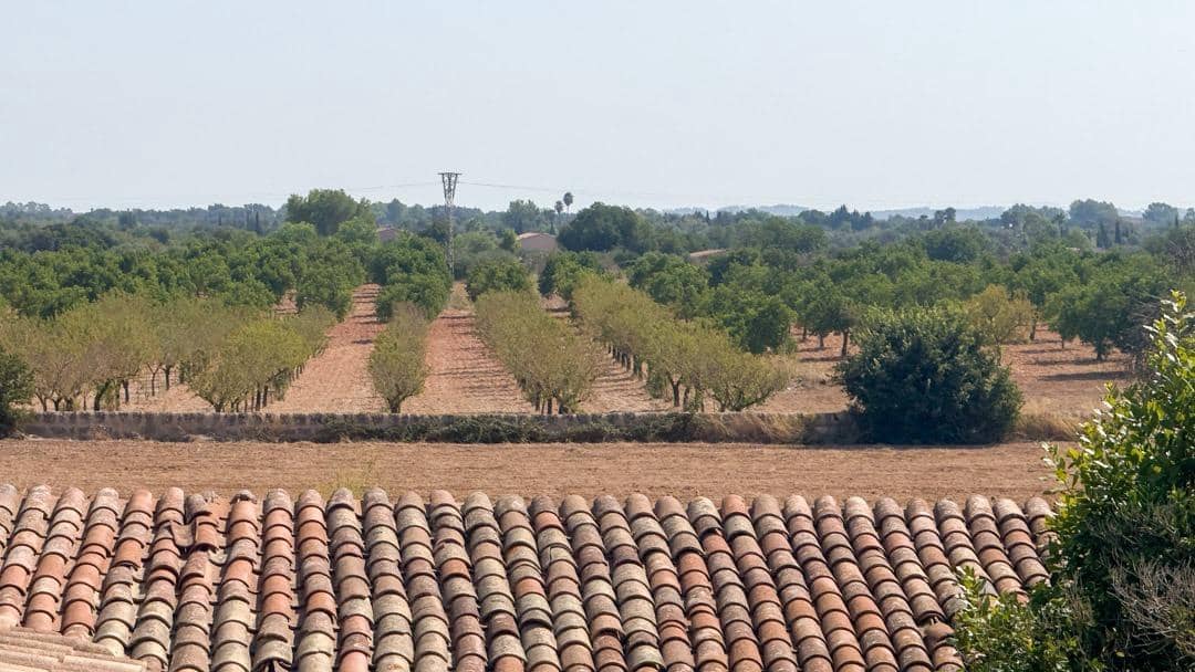 6 bedrooms House in Palma de Majorca, Spain No. 269934