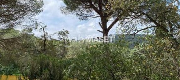 5 غرف نوم منزل في Castell-Platja d'Aro, Spain رقم 43658 40