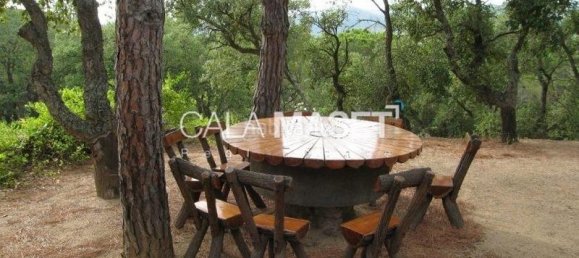 5 غرف نوم منزل في Castell-Platja d'Aro, Spain رقم 43658 26