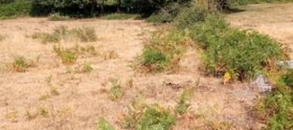 Земельный участок 3038м² в Оренсе, Испания № 185021 6