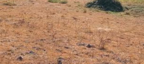 Земельный участок 3038м² в Оренсе, Испания № 185021 2