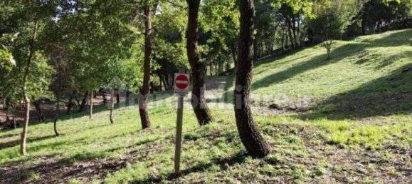 30000m² Land in Baschi, Italy No. 251085 13