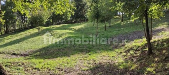 30000m² Land in Baschi, Italy No. 251085 15