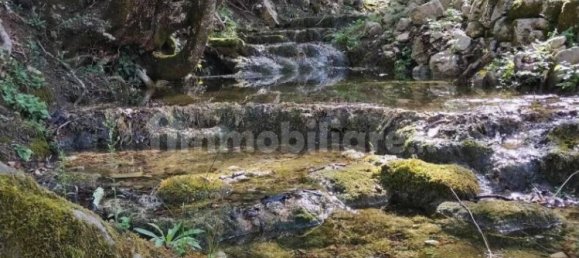 30000m² Land in Baschi, Italy No. 251085 10