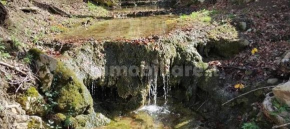 30000m² Land in Baschi, Italy No. 251085 7