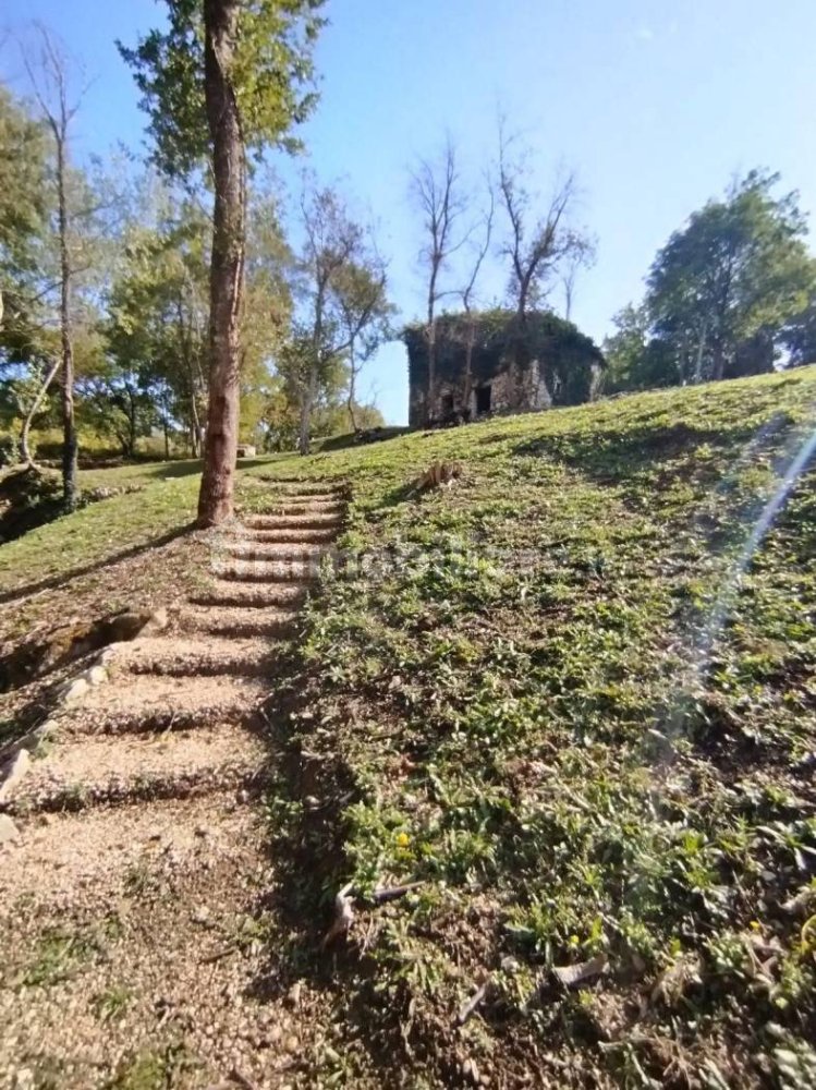 30000m² Land in Baschi, Italy No. 251085