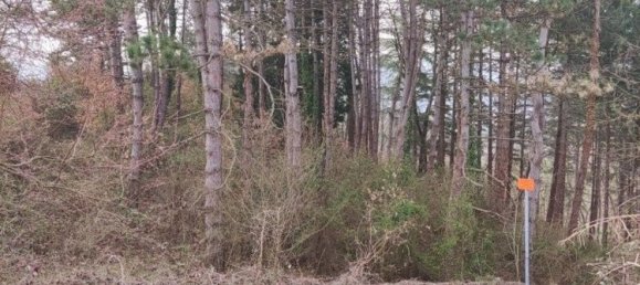 8 rooms House in Acqui Terme, Italy No. 129403 9