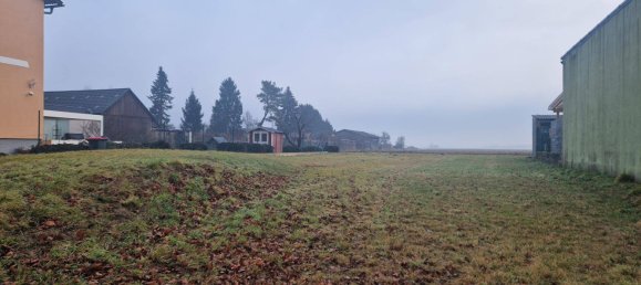 Grundstück in Kirchberg am Wagram, Austria, Nr. 112966 2