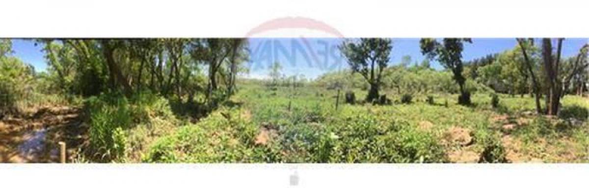 Grundstück in Tigre, Argentina, Nr. 116193