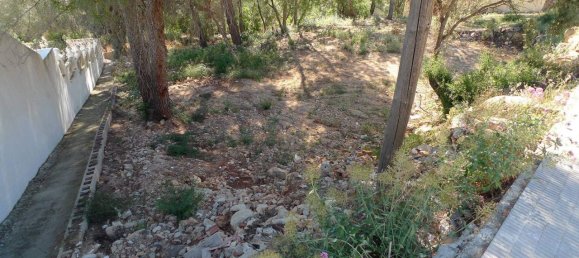  Land in Alcalali, Spain No. 284835 6