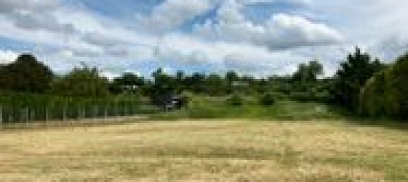  قطعة أرض في Saint-Jean-de-Thouars, France رقم 284176 2