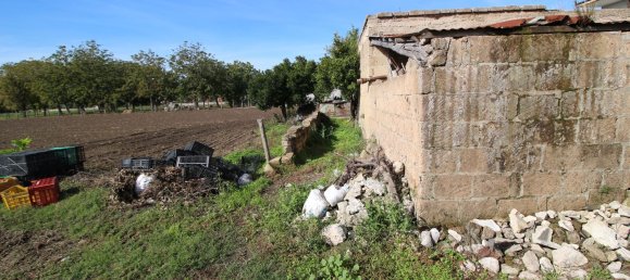 8غرفة منزل في Acerra, Italy رقم 268079 9