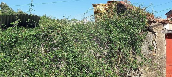 4 bedrooms House in Tomar, Portugal No. 22145 10