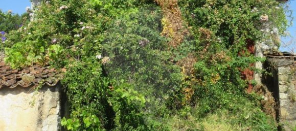 4 bedrooms House in Tomar, Portugal No. 22145 6