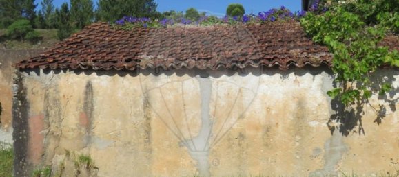 4 bedrooms House in Tomar, Portugal No. 22145 18