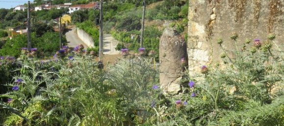 4 bedrooms House in Tomar, Portugal No. 22145 12