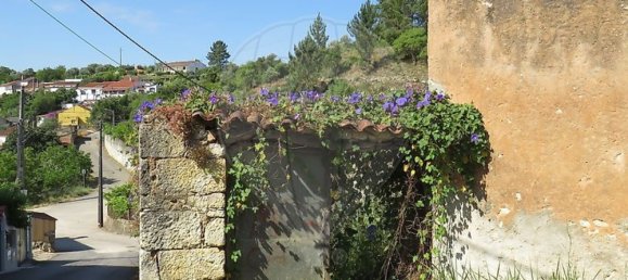 4 bedrooms House in Tomar, Portugal No. 22145 3