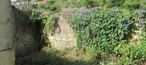 4 bedrooms House in Tomar, Portugal No. 22145 14