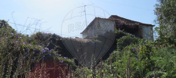 4 bedrooms House in Tomar, Portugal No. 22145 11