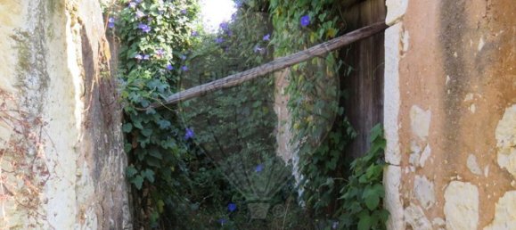 4 bedrooms House in Tomar, Portugal No. 22145 15