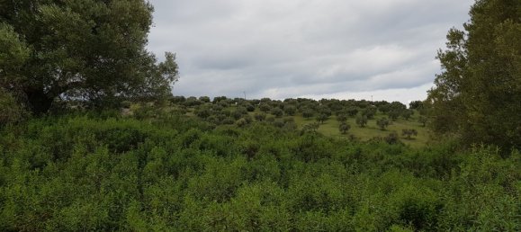 13289 m² terreno en venta en Chalkidiki, Central Macedonia, Macedonia and Thrace, Greece № 95179 4