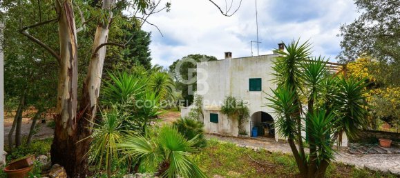 7 rooms Villa in Ostuni, Italy No. 89989 6