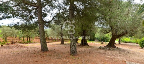 7 rooms Villa in Ostuni, Italy No. 89989 39