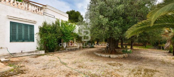 7 rooms Villa in Ostuni, Italy No. 89989 3