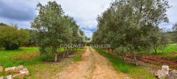 7 rooms Villa in Ostuni, Italy No. 89989 41