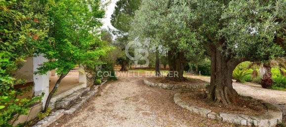 7 rooms Villa in Ostuni, Italy No. 89989 4