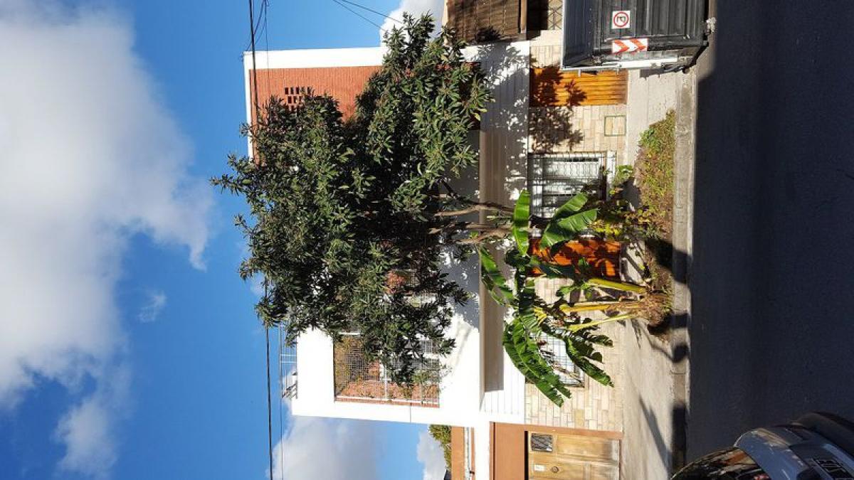 Studio in Buenos Aires, Argentina, Nr. 99561