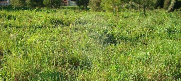  قطعة أرض في Quiaios, Portugal 480متر مربع رقم 92017 5