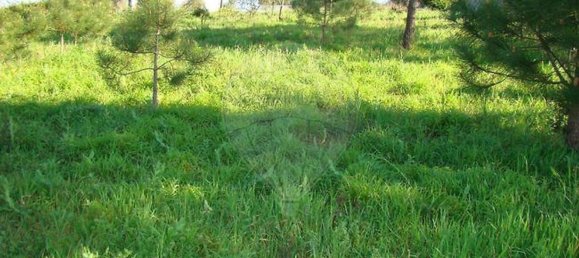  قطعة أرض في Quiaios, Portugal 480متر مربع رقم 92017 3