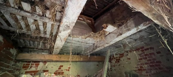 2غرفة تاون هاوس في Ostprignitz-Ruppin, Germany رقم 279647 7