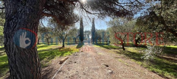 2 rooms House in San Vito dei Normanni, Italy No. 26110 39