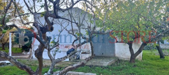 2 rooms House in San Vito dei Normanni, Italy No. 26110 12